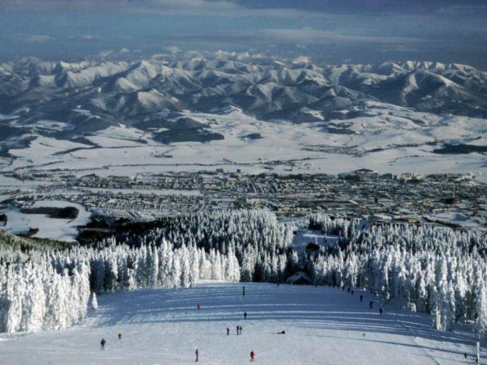 Гостевой дом Drevenica Pod Tlstou Blatnica Экстерьер фото