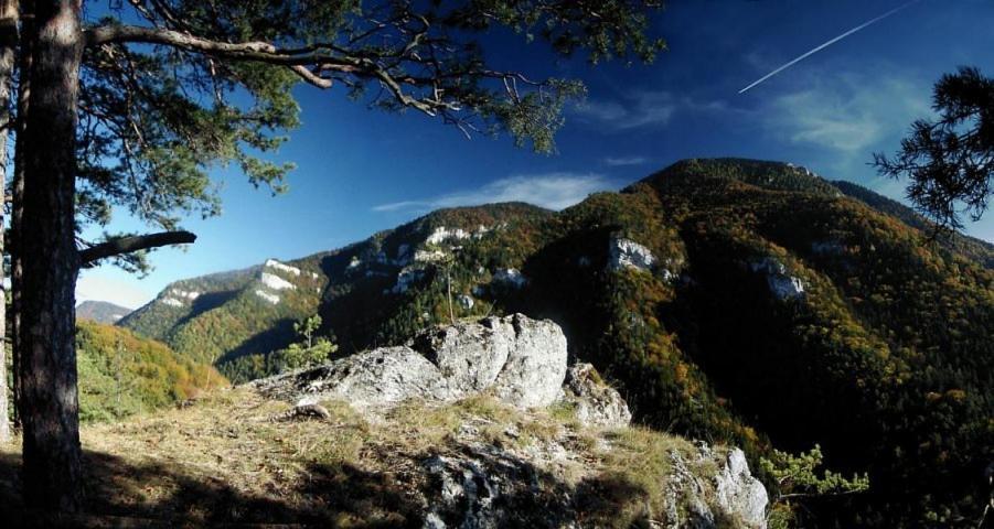 Гостевой дом Drevenica Pod Tlstou Blatnica Экстерьер фото